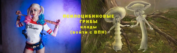 хмурый Белокуриха