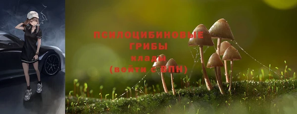гашик Балабаново