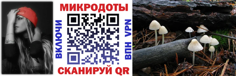 купить  цена  Тутаев  Псилоцибиновые грибы Cubensis 